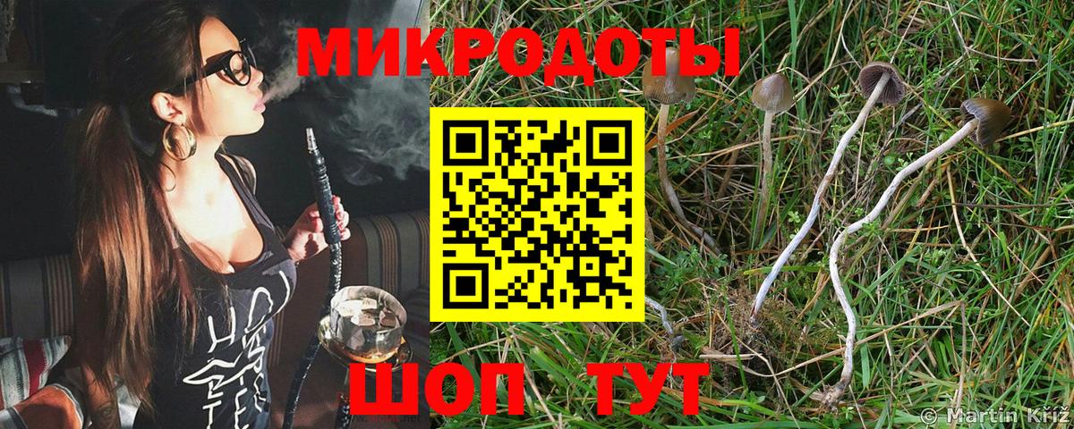 Псилоцибиновые грибы MAGIC MUSHROOMS Малгобек