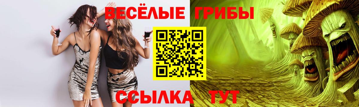 Псилоцибиновые грибы Cubensis  Вход с VPN  Псилоцибиновые грибы MAGIC MUSHROOMS  Малгобек 
